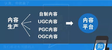 數(shù)字內(nèi)容制作服務(wù)在內(nèi)容運營策略中的核心作用與實踐路徑分析